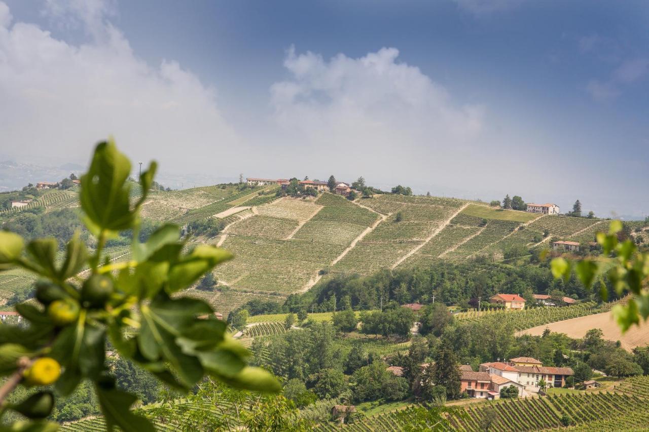B&B Miello Nelle Langhe Mango Eksteriør billede